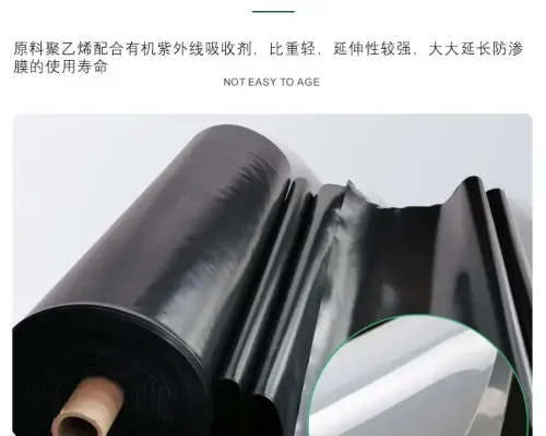 产品展示